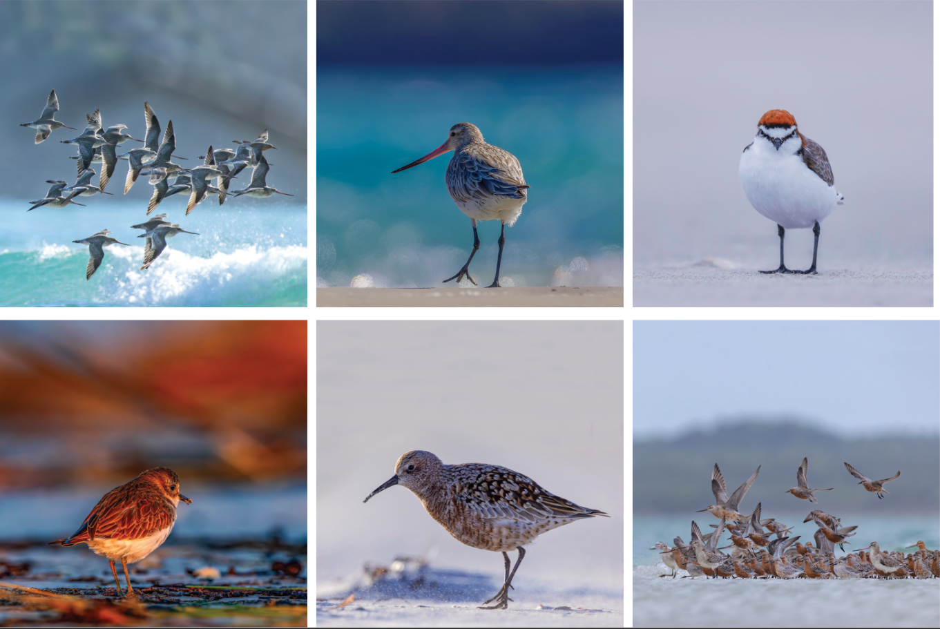 CURRENT EXHIBITION... 'PILITKA/ROBBINS ISLAND' AN EXHIBITION OF PHOTOGRAPHY BY ROB BLAKERS