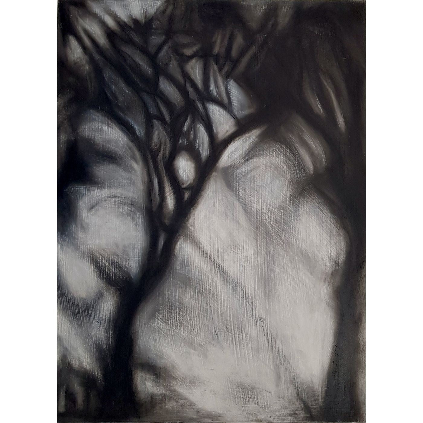 Kath Sinkora - Shifting Shadows 2