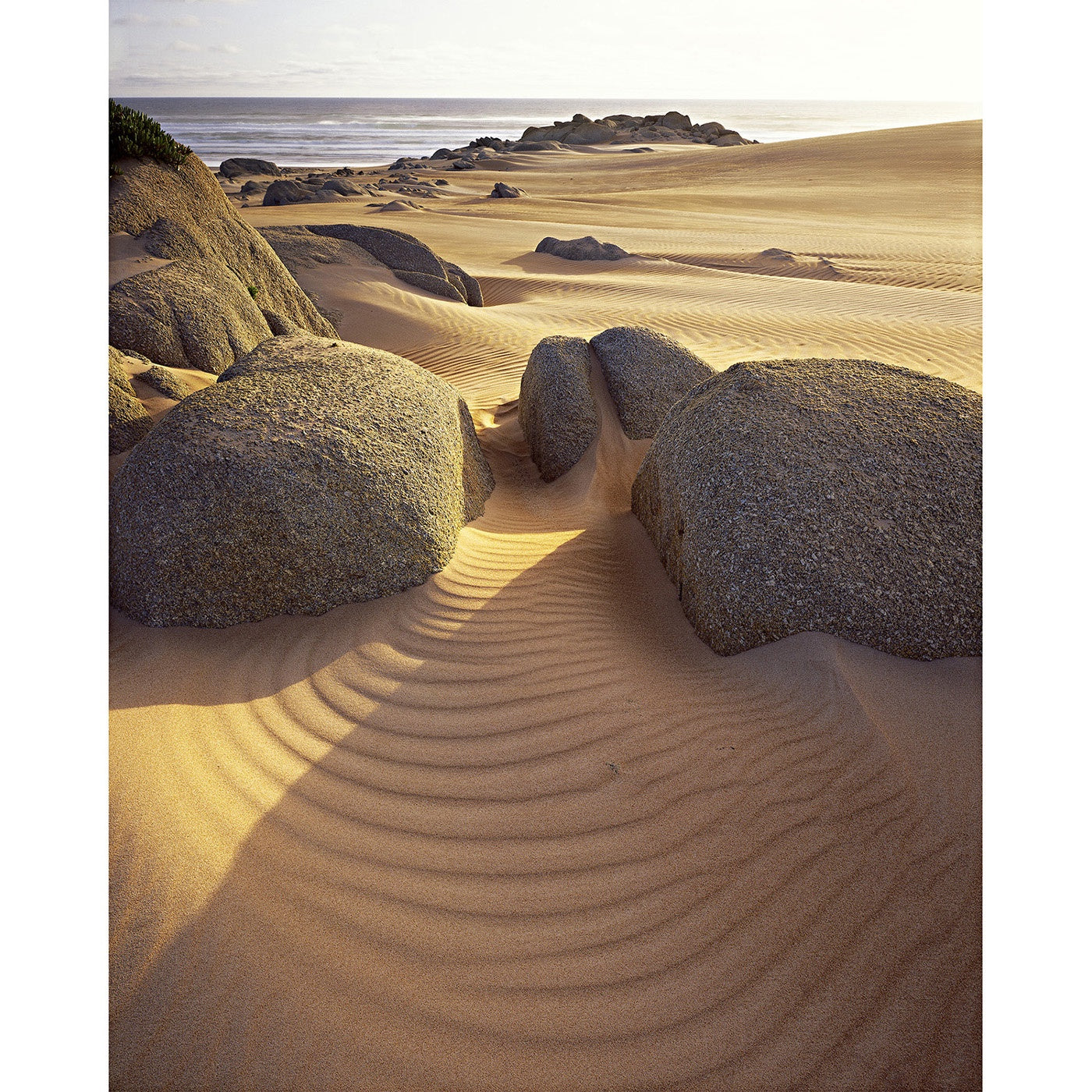 Peter Dombrovskis - Dunes and Granite, takayna