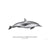 Sam Lyne - Art Print - Short Beaked Common Dolphin