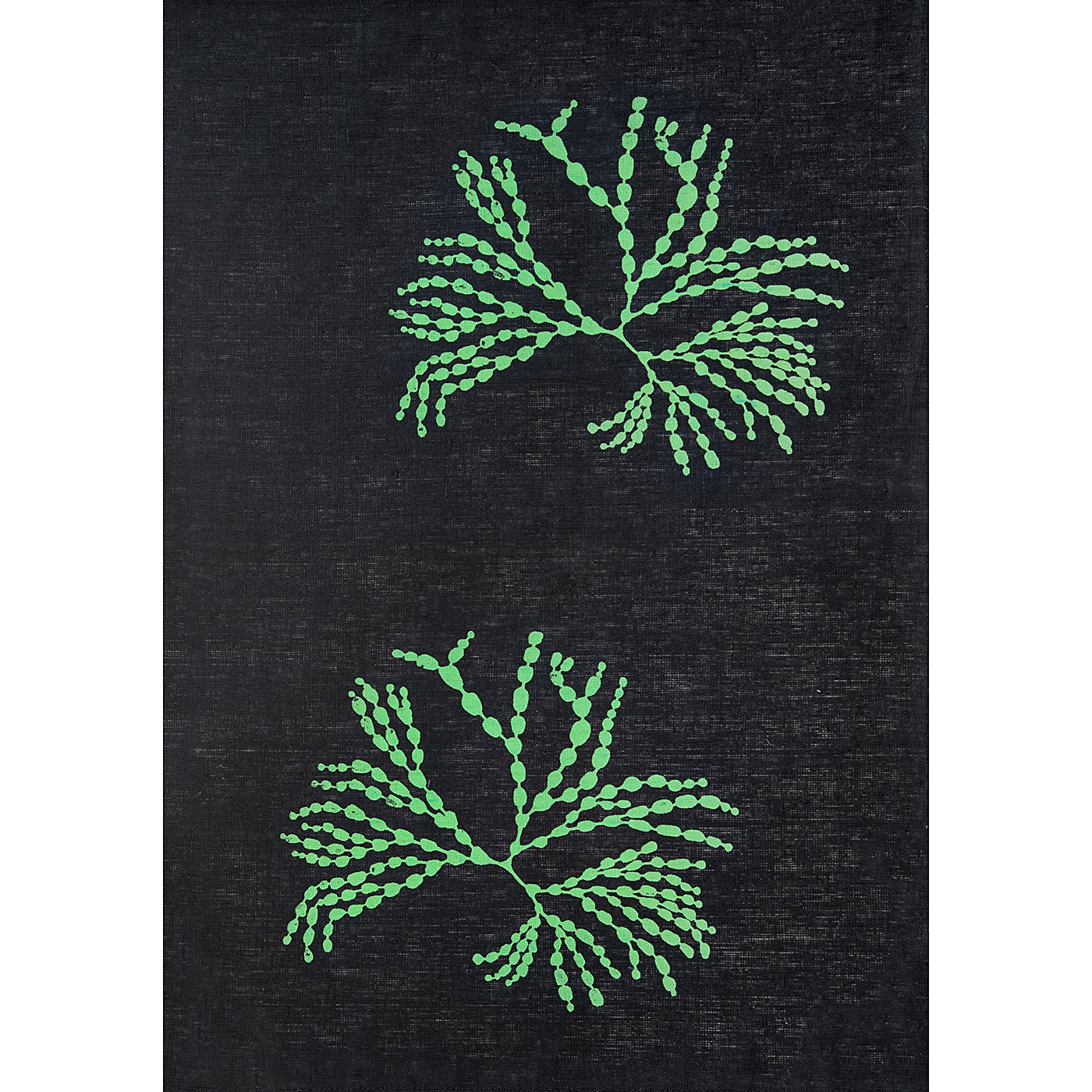Stalley Textile Co. - Tea Towel - Bubbleweed - Green on Black