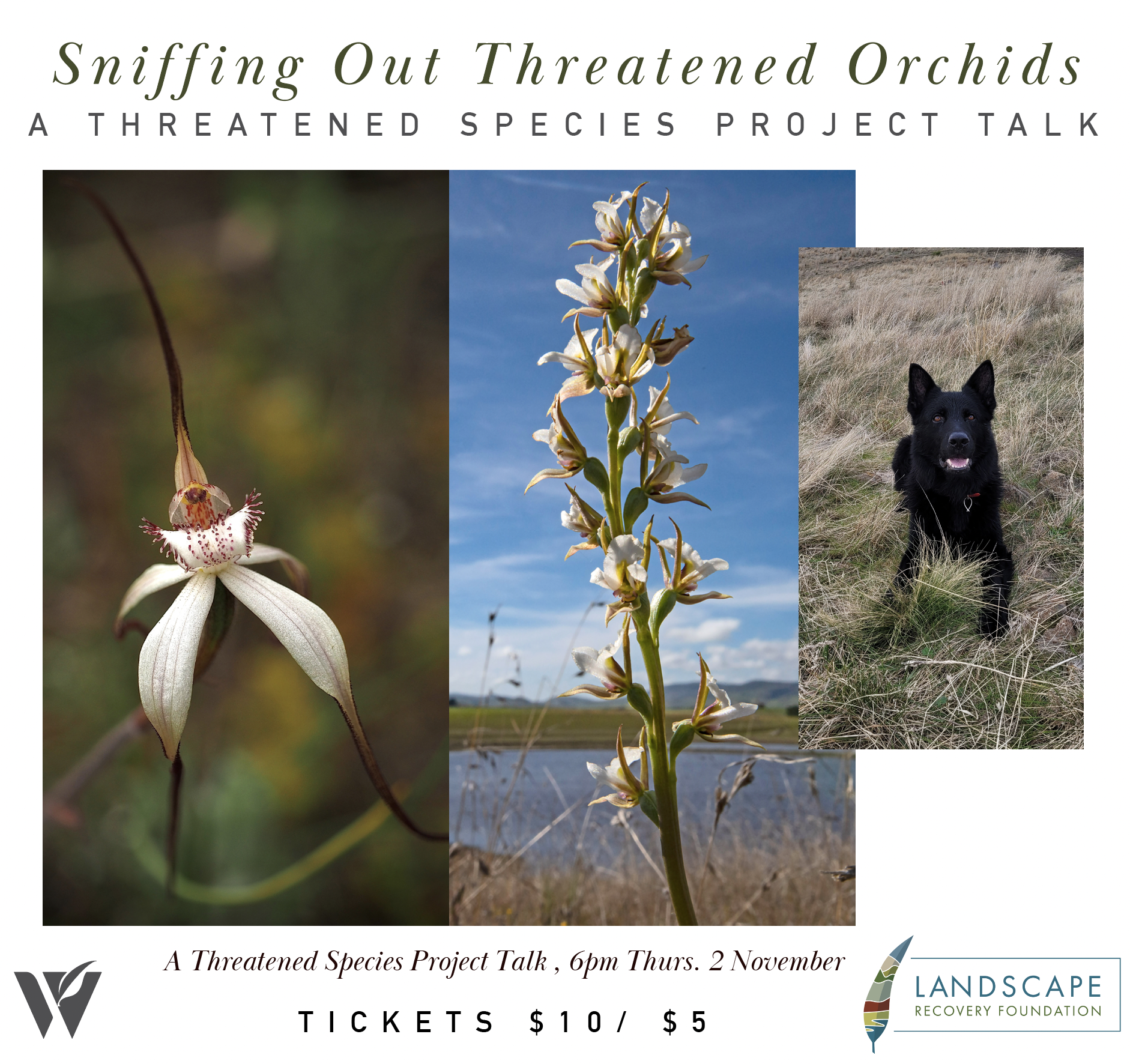 Sniffing Out Threatened Orchids - A Threatened Species Project Talk