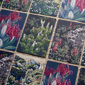 Trees 4 The Wood - Card Pack of 4 - Tasmanian Mountain Flowers
