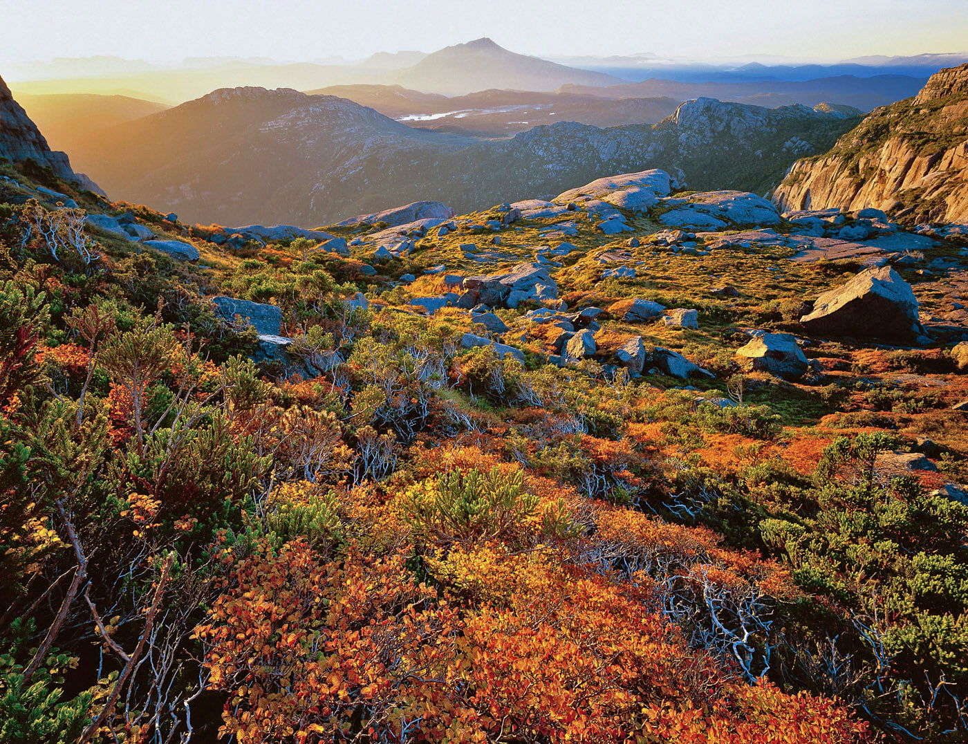 Calendars & Diaries Wild Island Tasmania