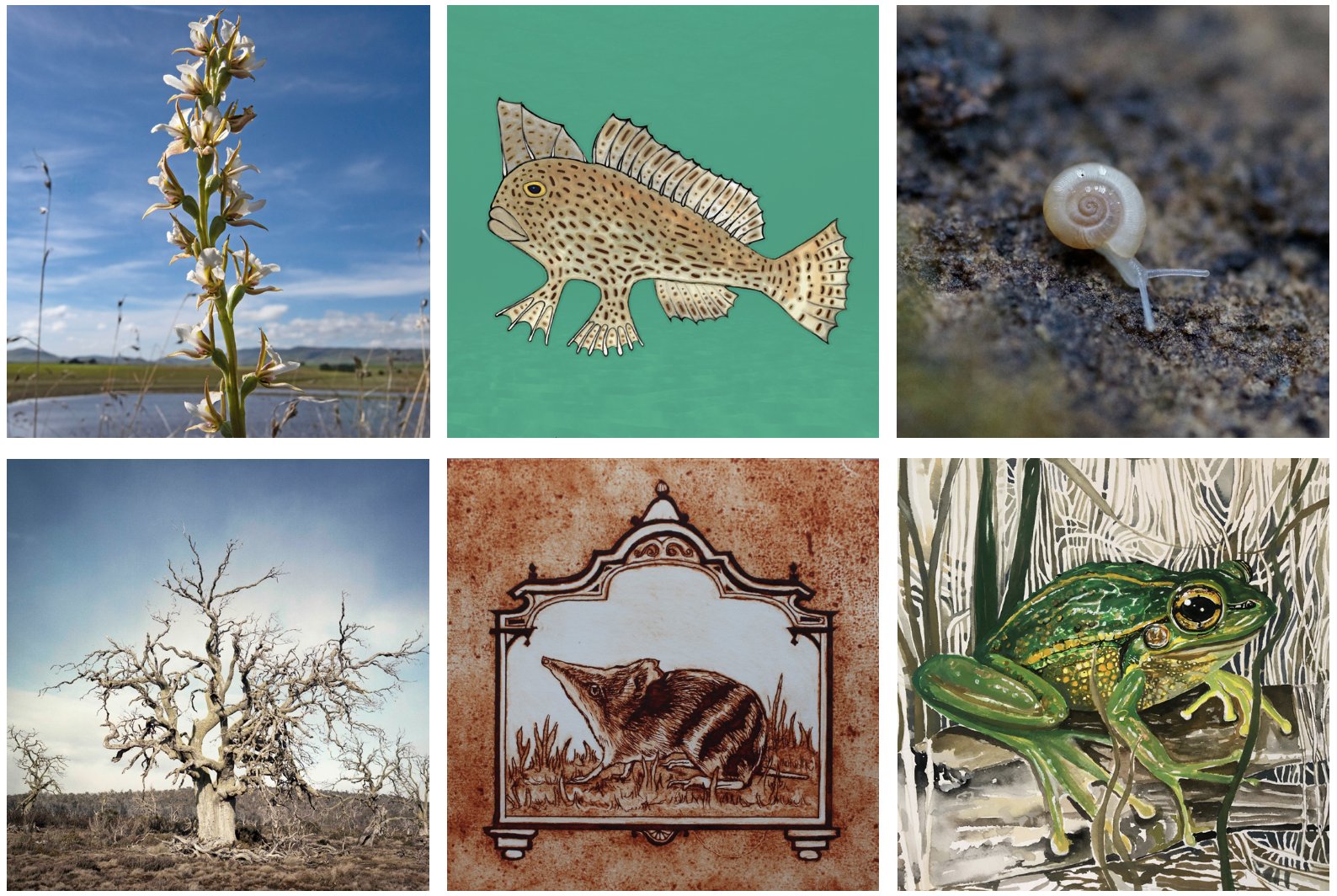 Threatened Species Project