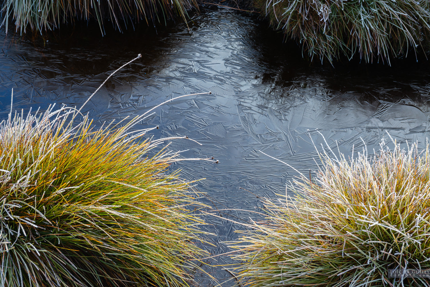 Ruth Evenhuis Designs