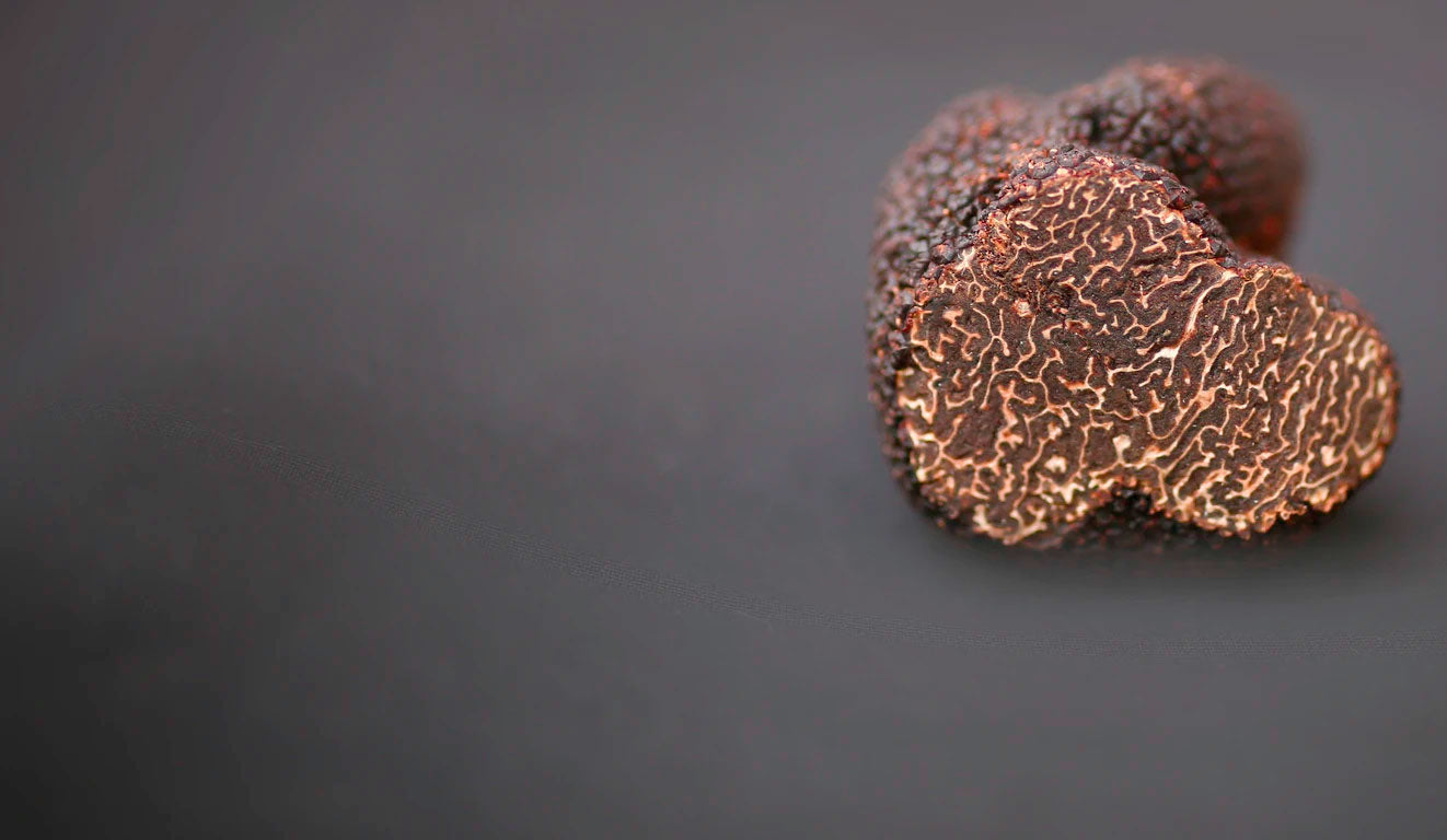 Perigord Truffles of Tasmania