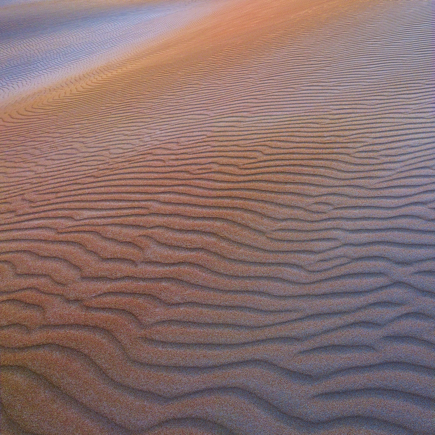 Rob Blakers - takayna Dune Detail