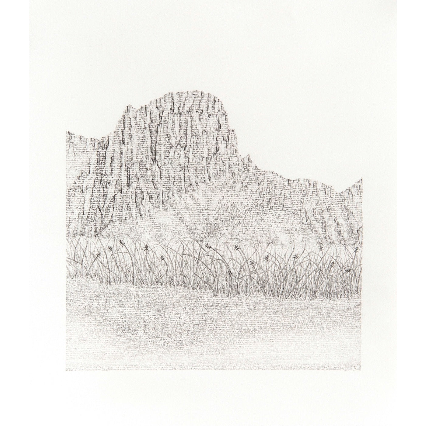 Amanda Walker - Threatened: Mount Eliza Sedge