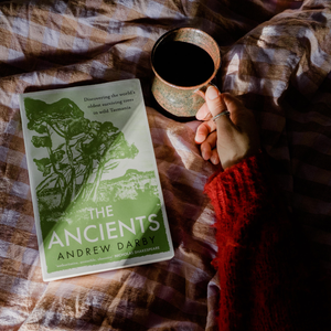 The Ancients