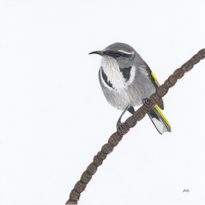 Andy Hoggins - A Fleeting Glimpse Fine Art Prints