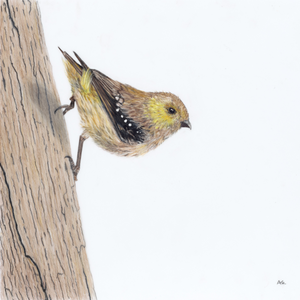 Andy Hoggins - A Fleeting Glimpse Fine Art Prints