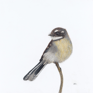 Andy Hoggins - A Fleeting Glimpse Fine Art Prints