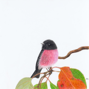 Andy Hoggins - A Fleeting Glimpse Fine Art Prints