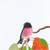 Andy Hoggins - A Fleeting Glimpse Fine Art Prints