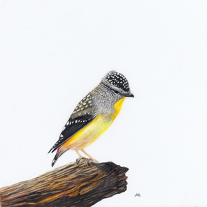 Andy Hoggins - A Fleeting Glimpse Fine Art Prints