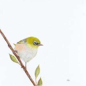 Andy Hoggins - A Fleeting Glimpse Fine Art Prints
