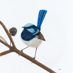 Andy Hoggins - A Fleeting Glimpse Fine Art Prints