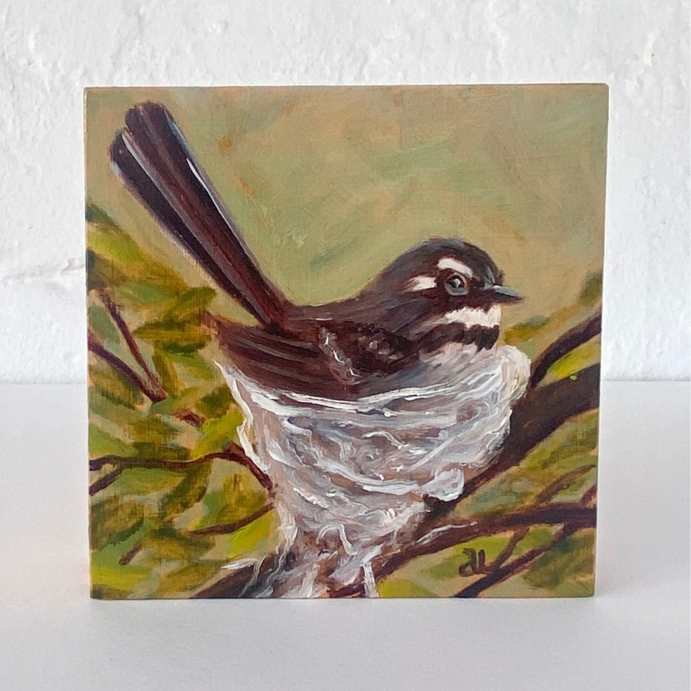 Averill Lawler - Grey Fantail Nesting