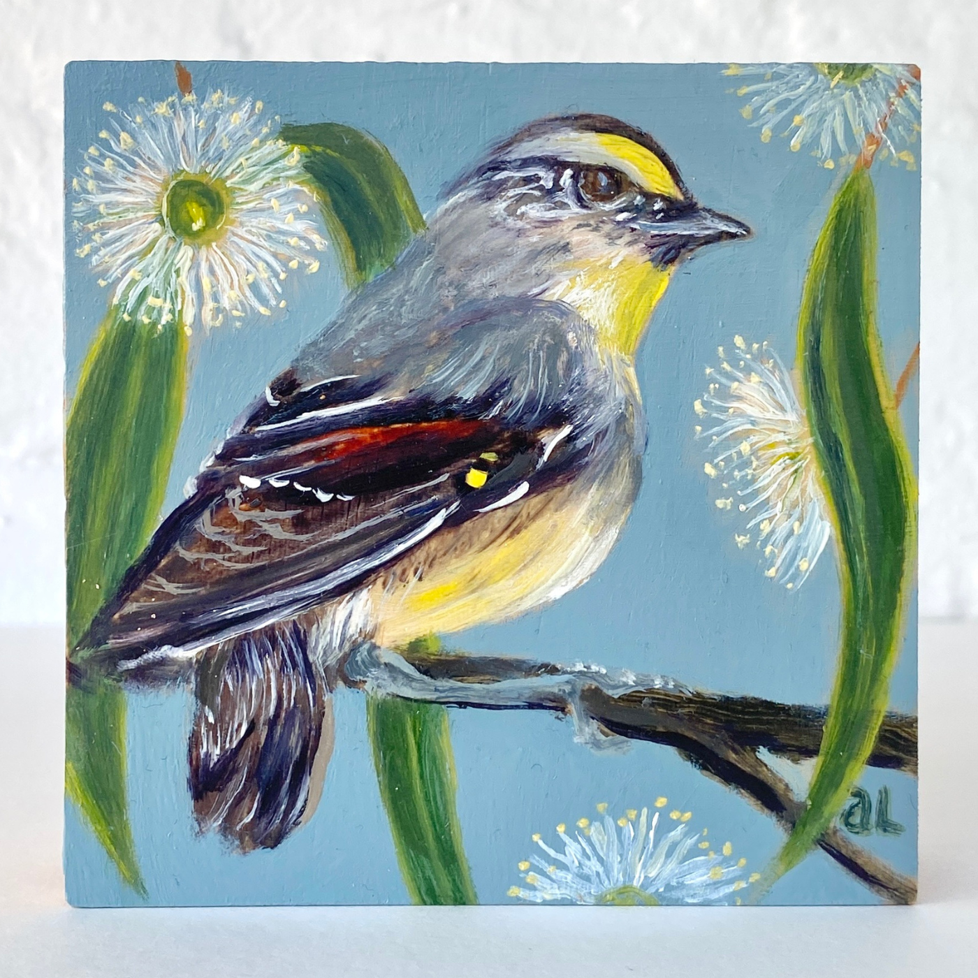 Averill Lawler - Striated Pardalote & White Gum