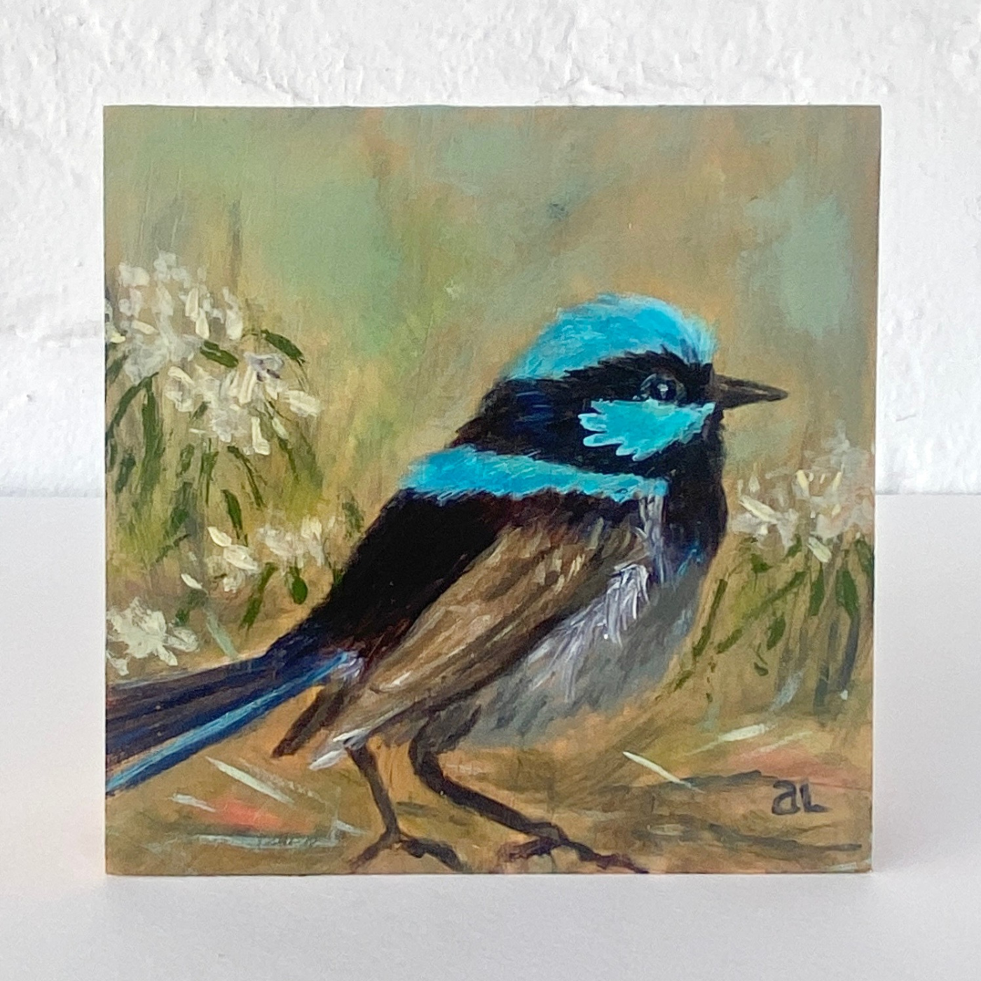 Averill Lawler - Superb Fairy Wren 3