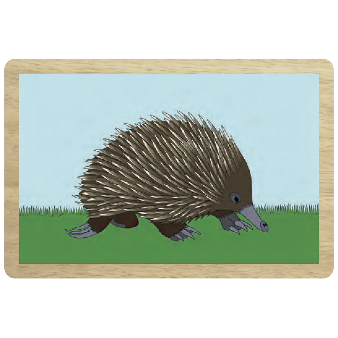 Red Parka - Wooden Magnet - Echidna