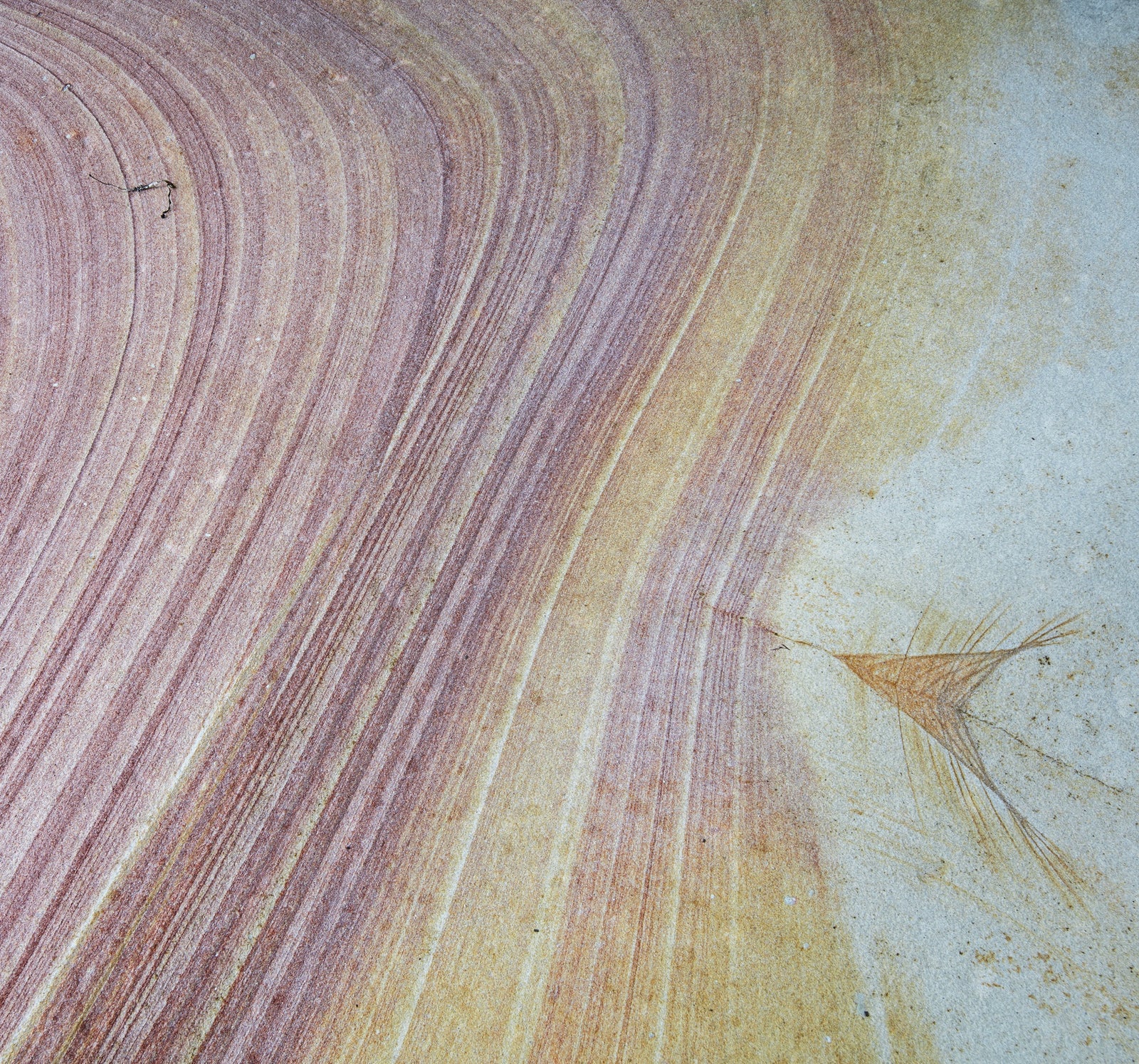 Rob Blakers - Sandstone Detail