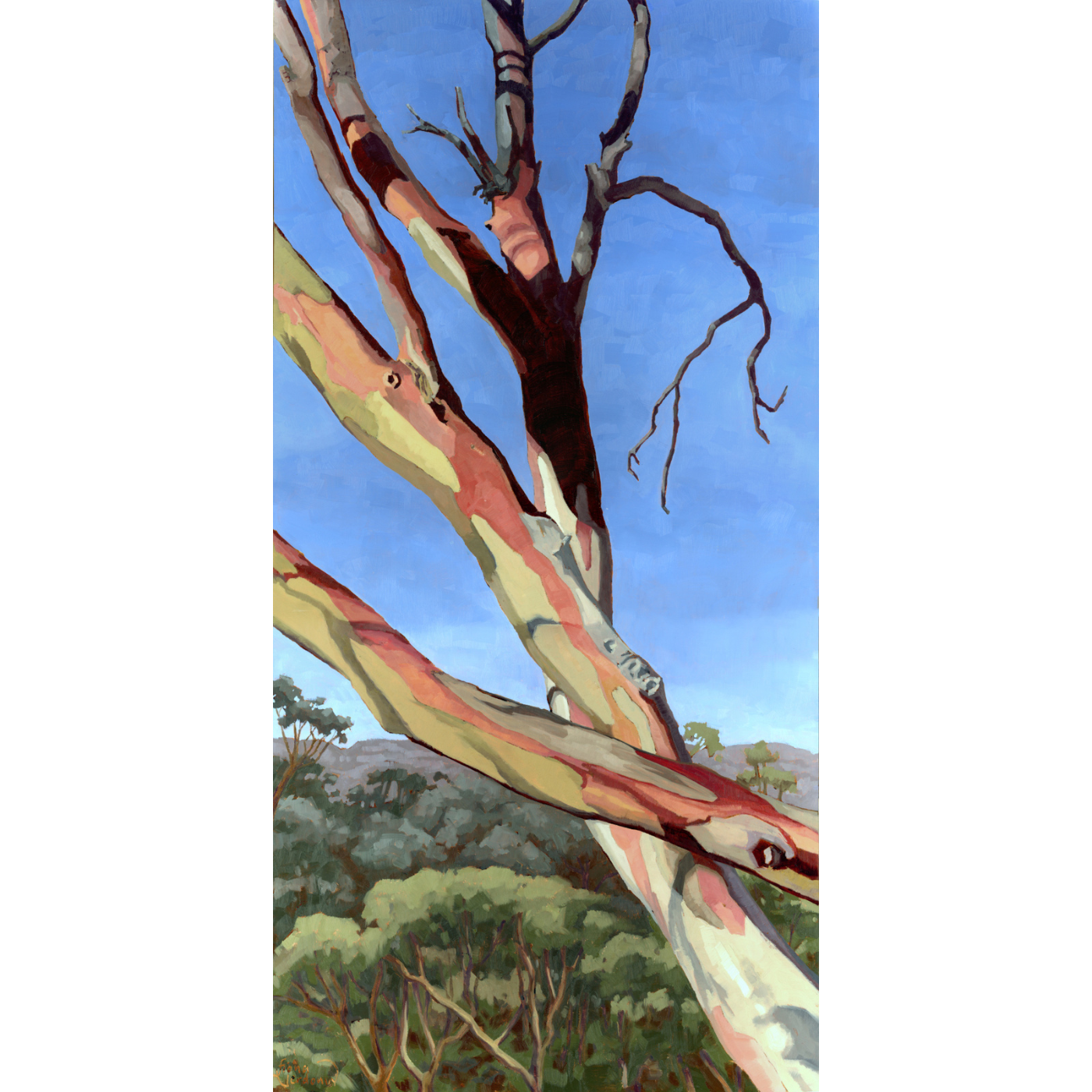 Fiona Verdouw - A Real Standout