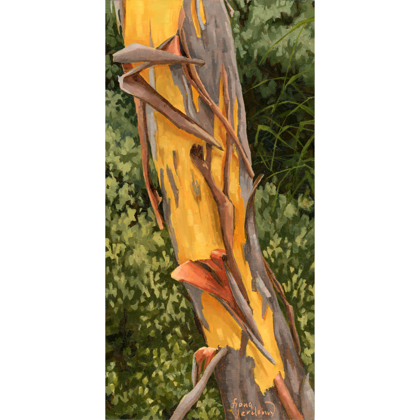 Fiona Verdouw - Amidst the Chaos