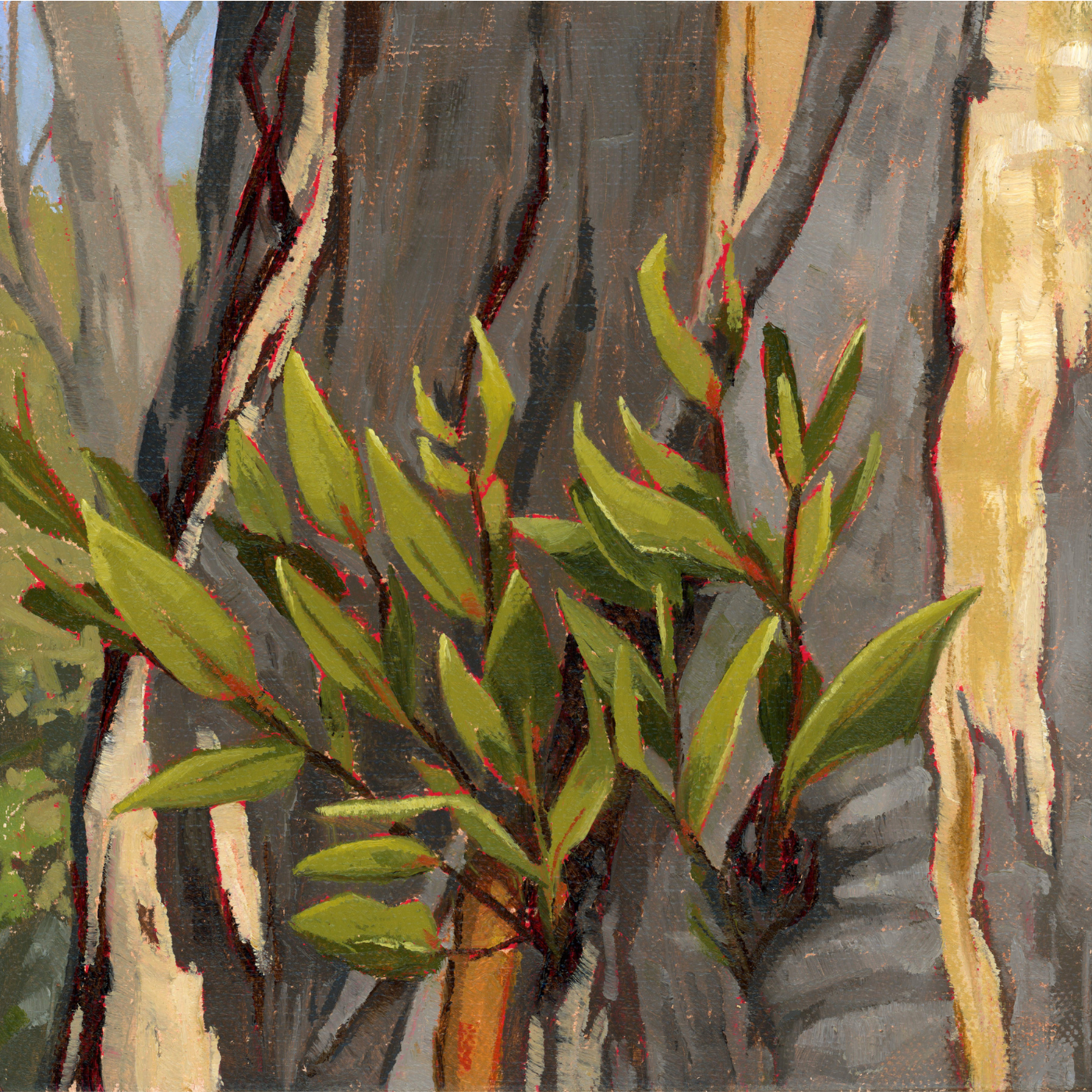 Fiona Verdouw - Brave New Start