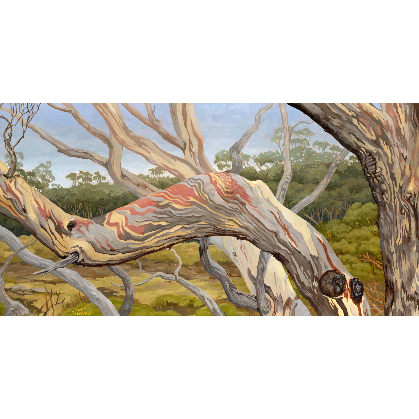 Fiona Verdouw - Dressed to Impress