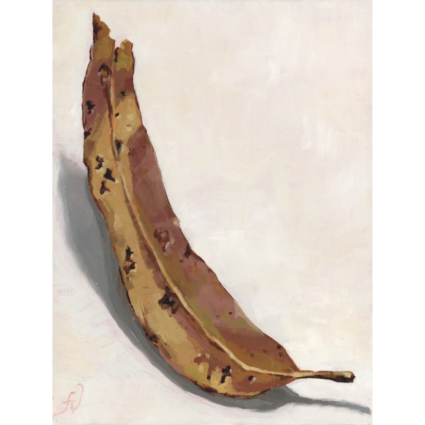 Fiona Verdouw - Imprints