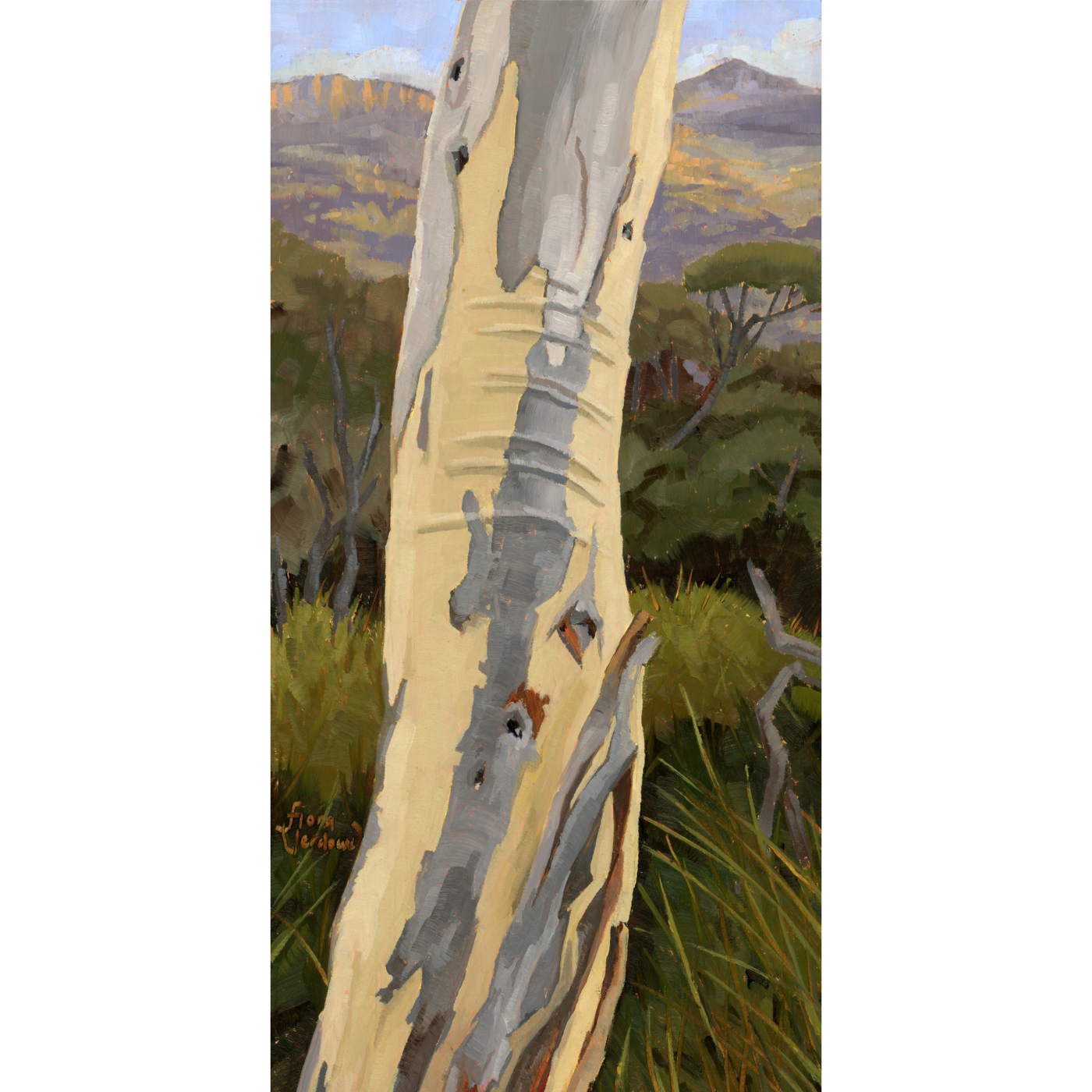 Fiona Verdouw - Selfie Before Mount Olympus