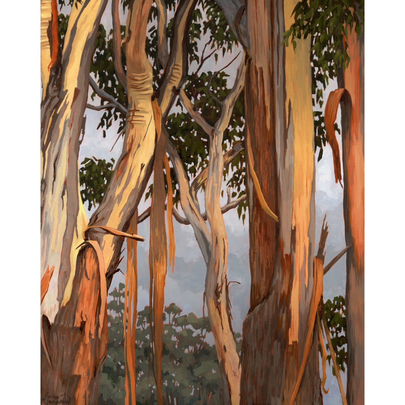 Fiona Verdouw - Strips