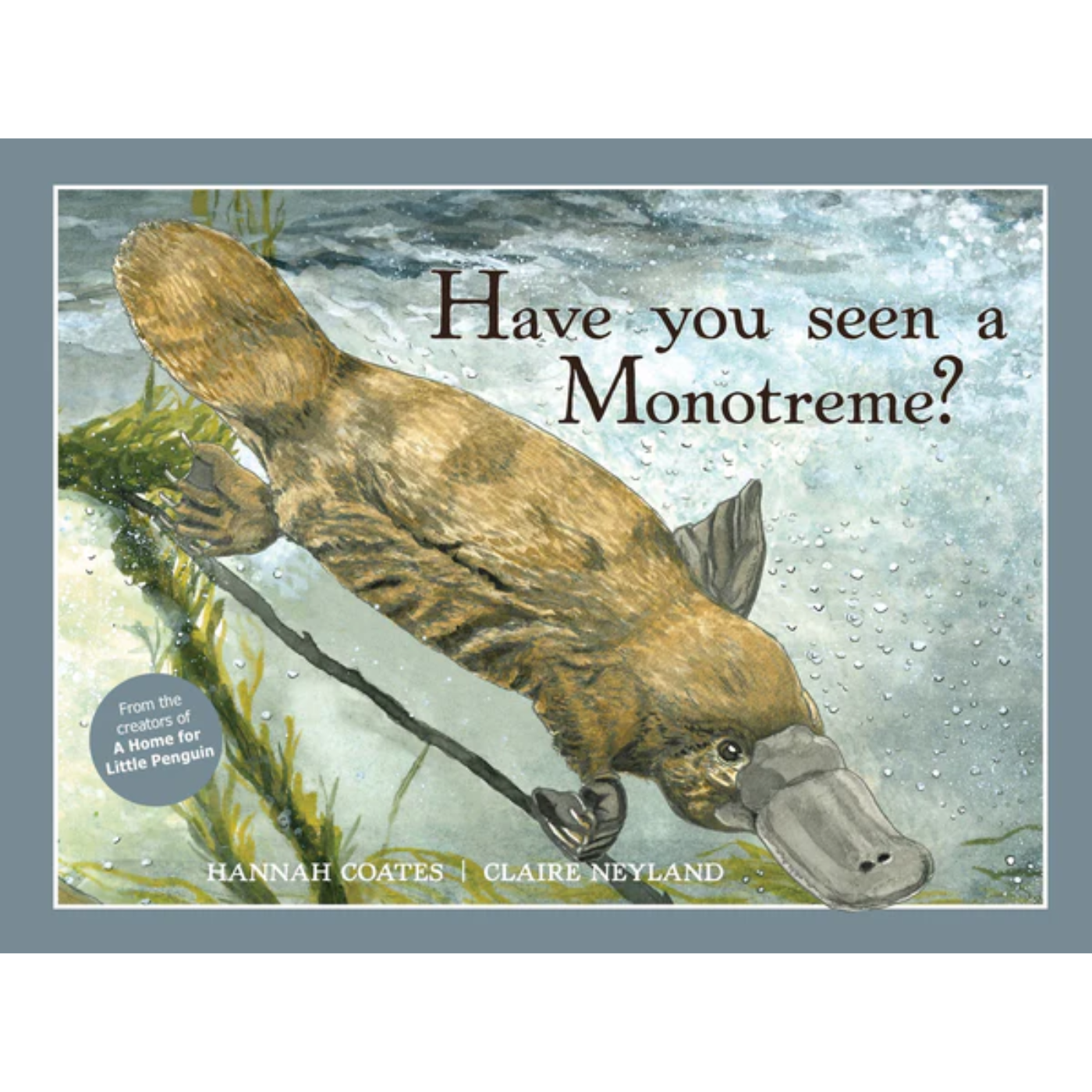 Have You Seen a Monotreme?