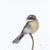 Andy Hoggins - Grey Fantail - A Visit From a Loved One