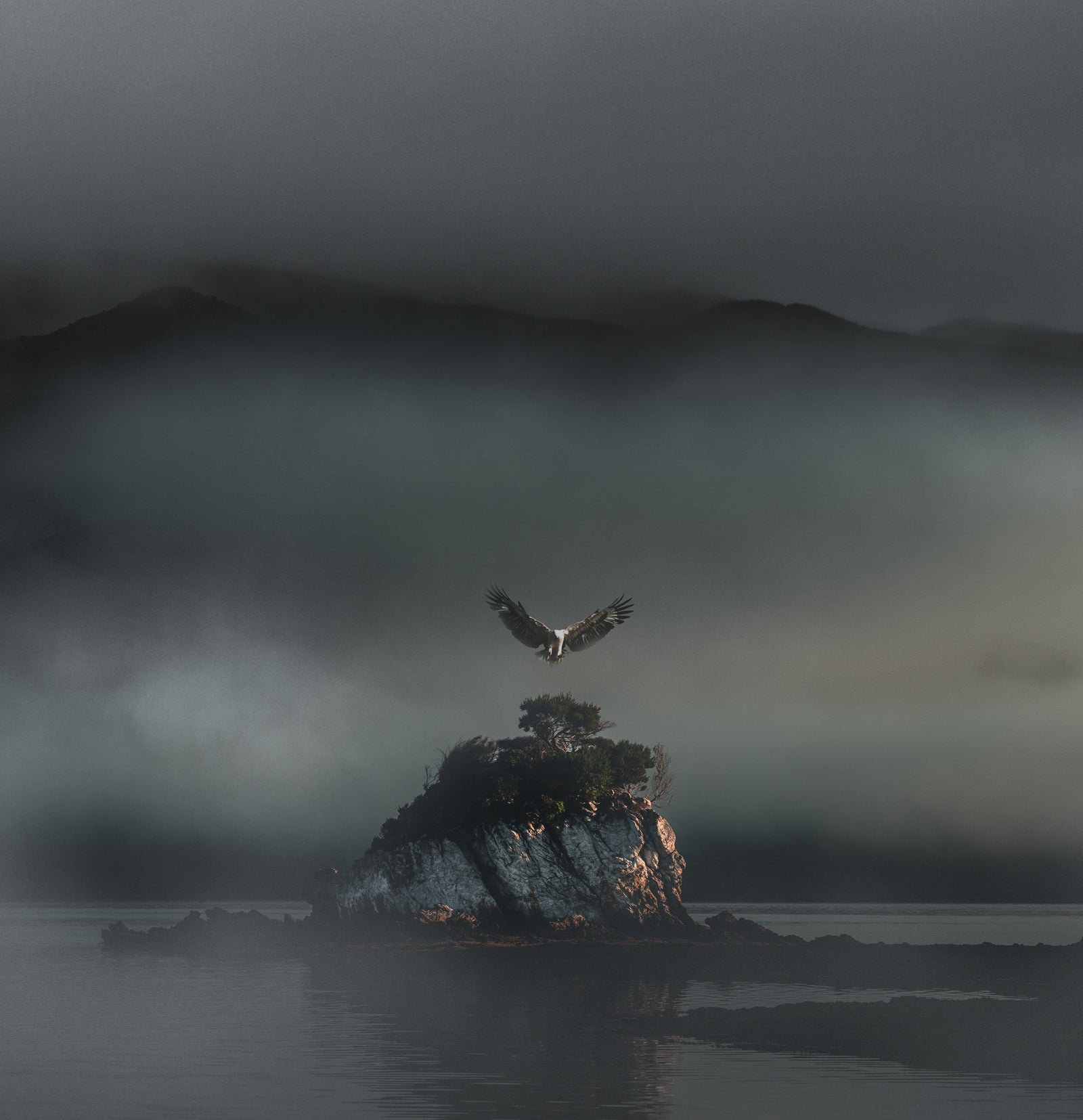 Andrew Wilson - Lost in the Wild (Custodian Series)