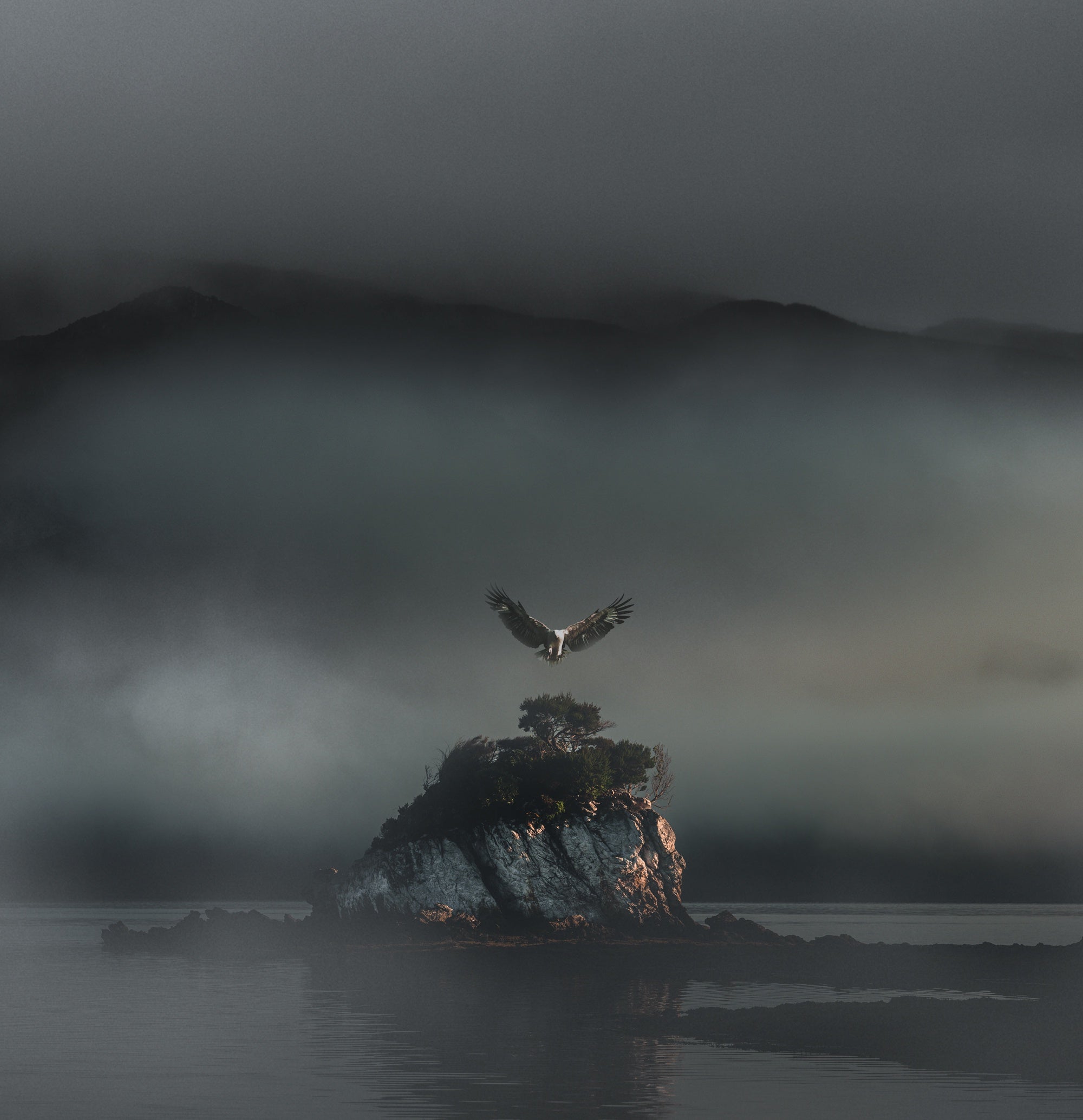 Andrew Wilson - Lost in the Wild (Custodian Series)