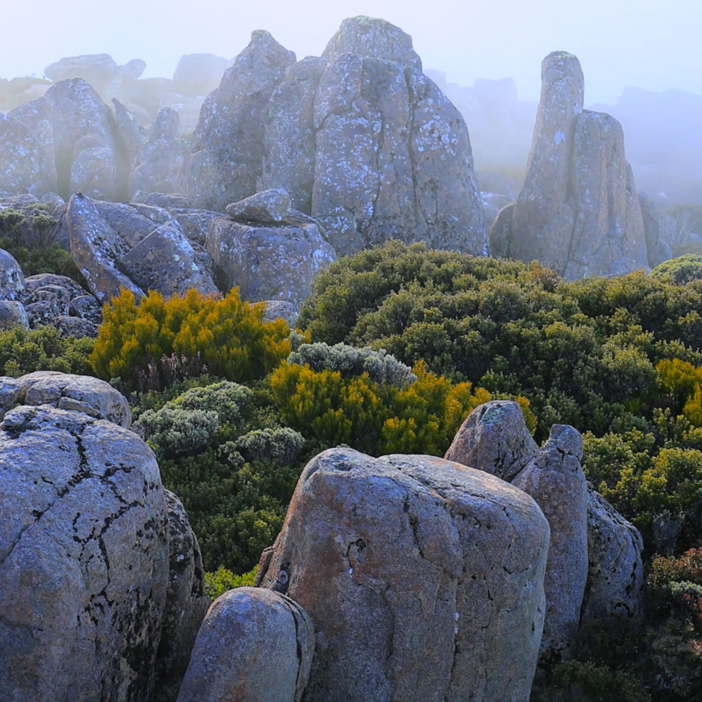 Kunanyi Landscape Photography Workshop