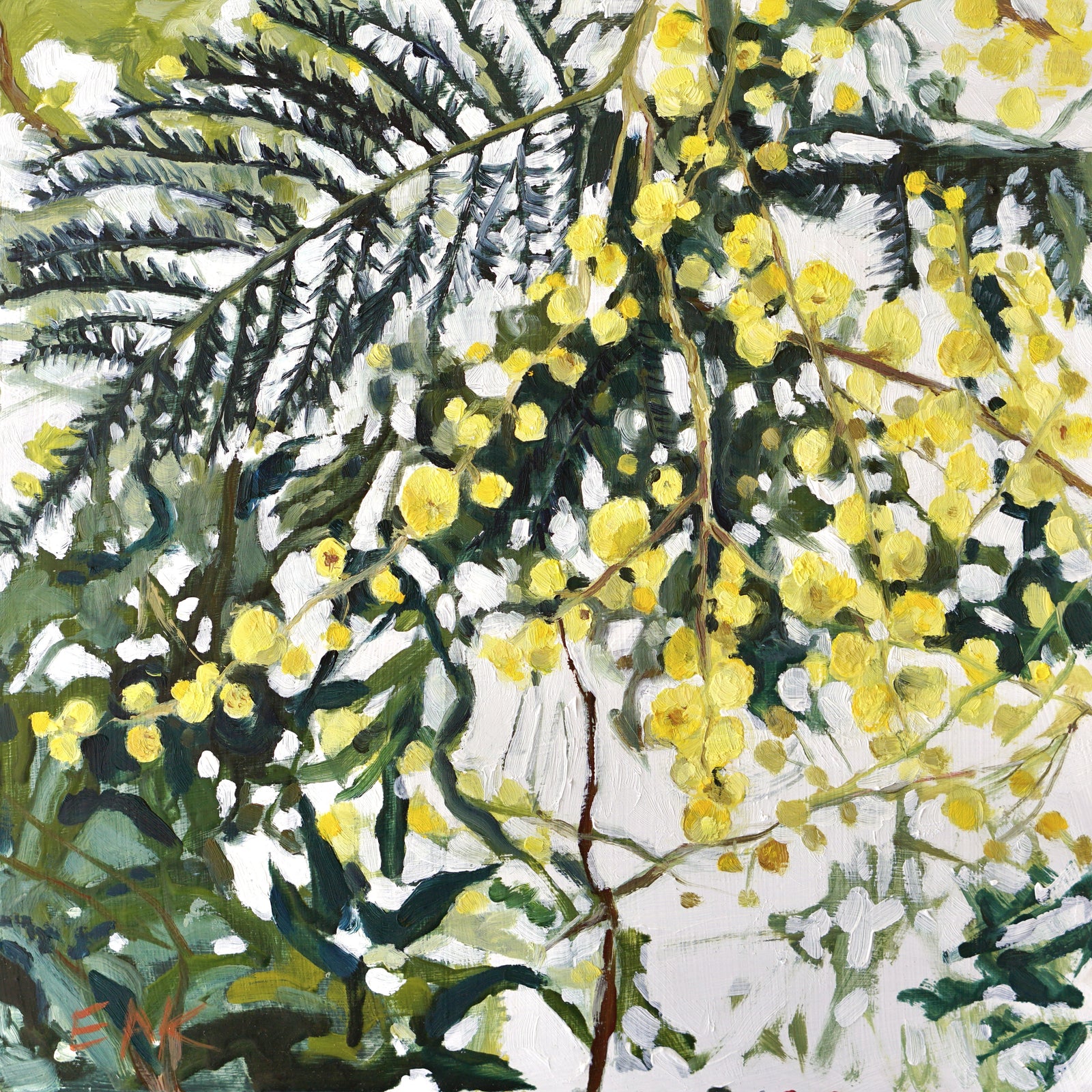 Eleanor Ann Kramer - Early Wattle