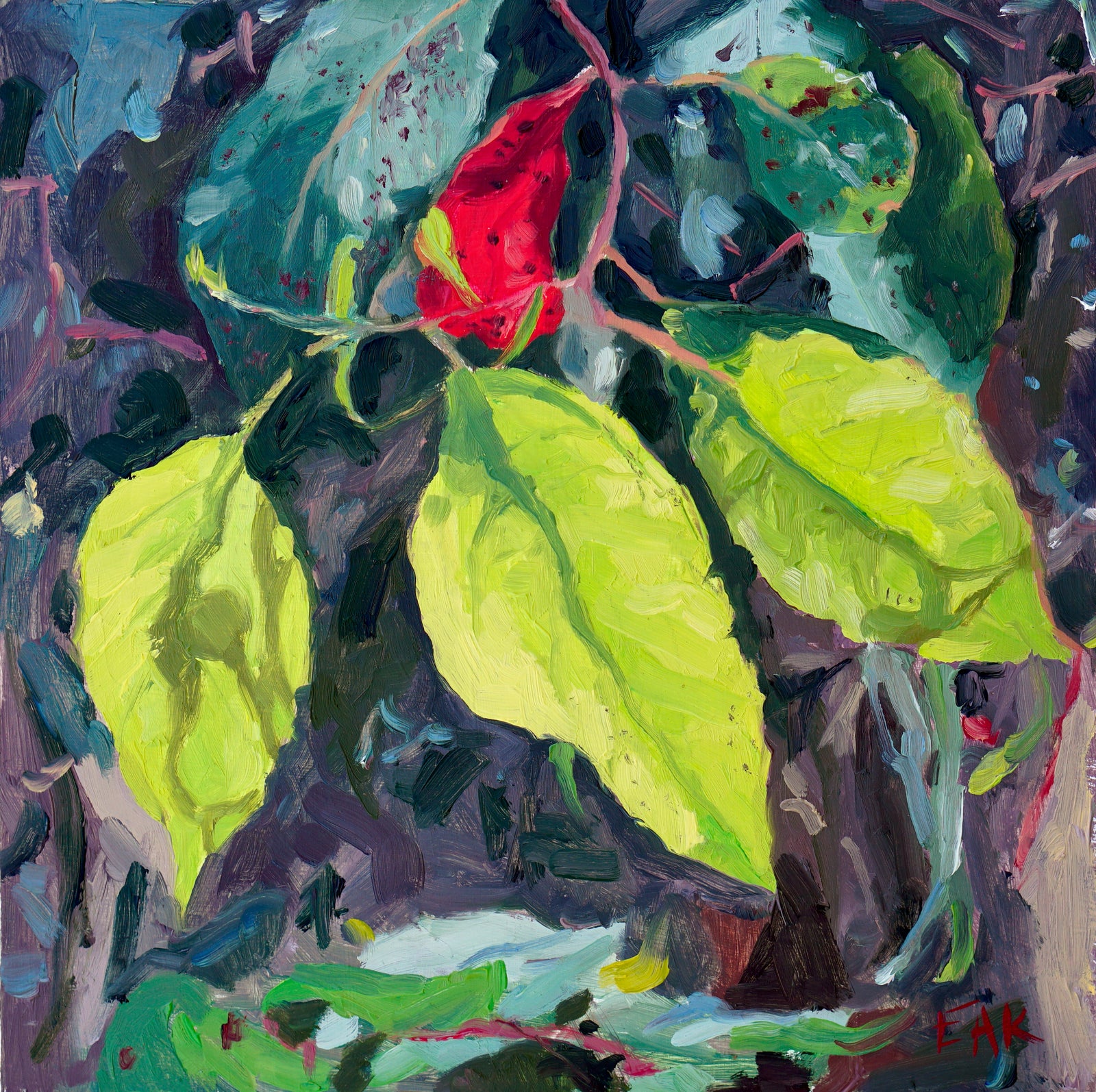 Eleanor Ann Kramer - Translucent