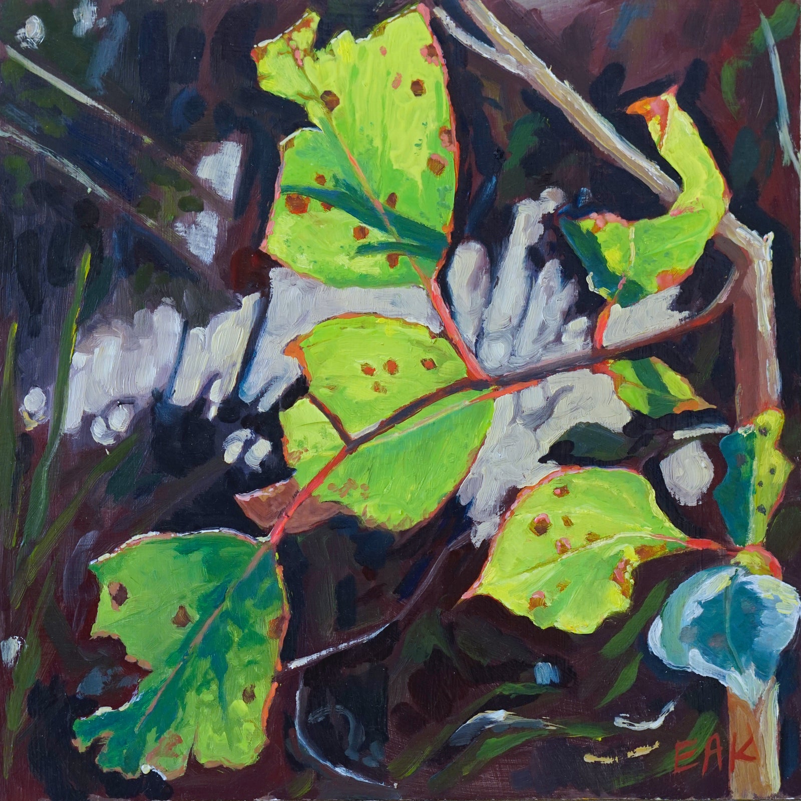 Eleanor Ann Kramer - Nibbled and Dotted