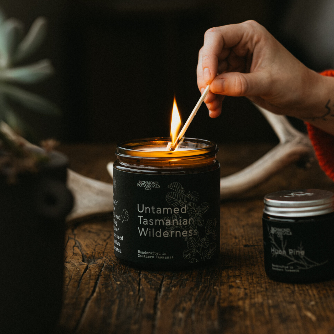 Richmond Botanicals Co. - Candle - Untamed Tasmanian Wilderness
