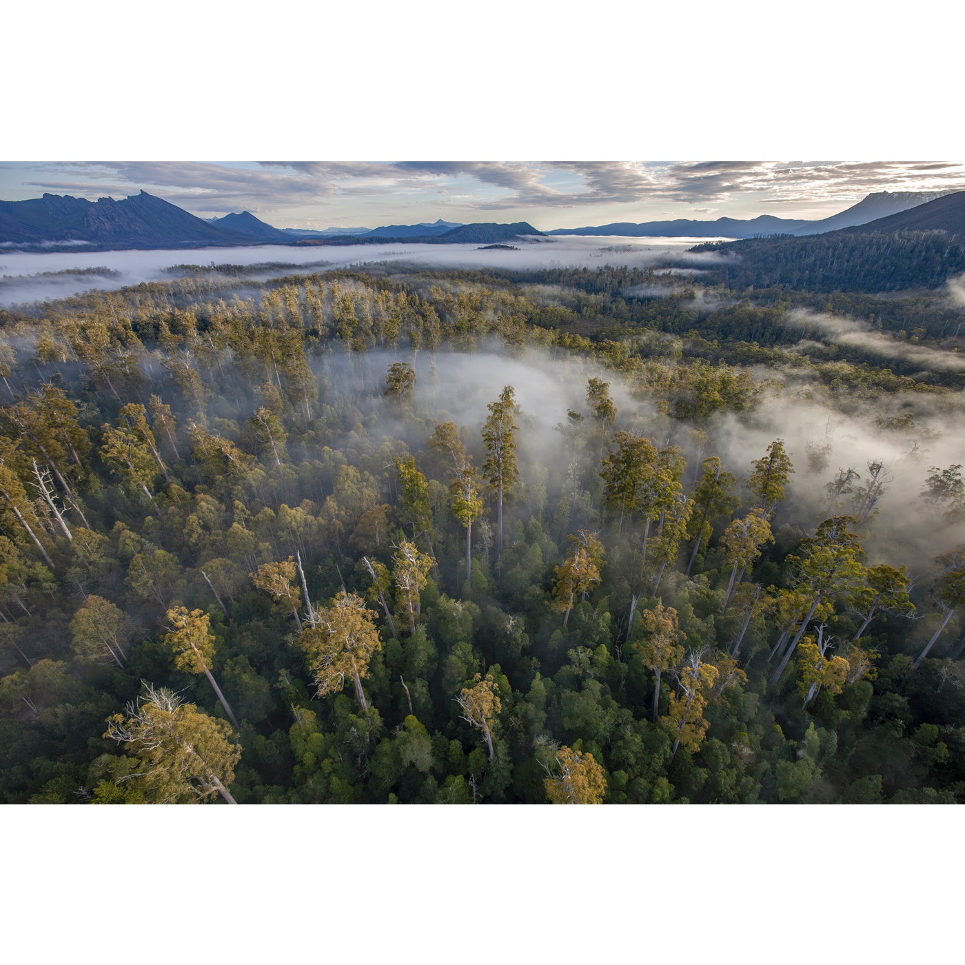 Rob Blakers - South West Tasmania - Florentine Valley