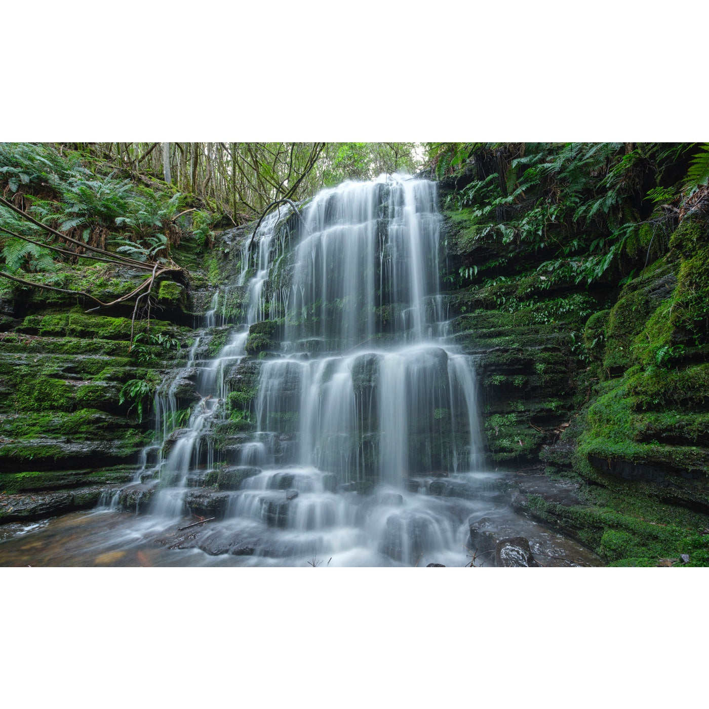 Rob Blakers - kunanyi/Mt Wellington - Waterfall