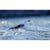 Rob Blakers - Tasman Peninsula - Pacific Gull