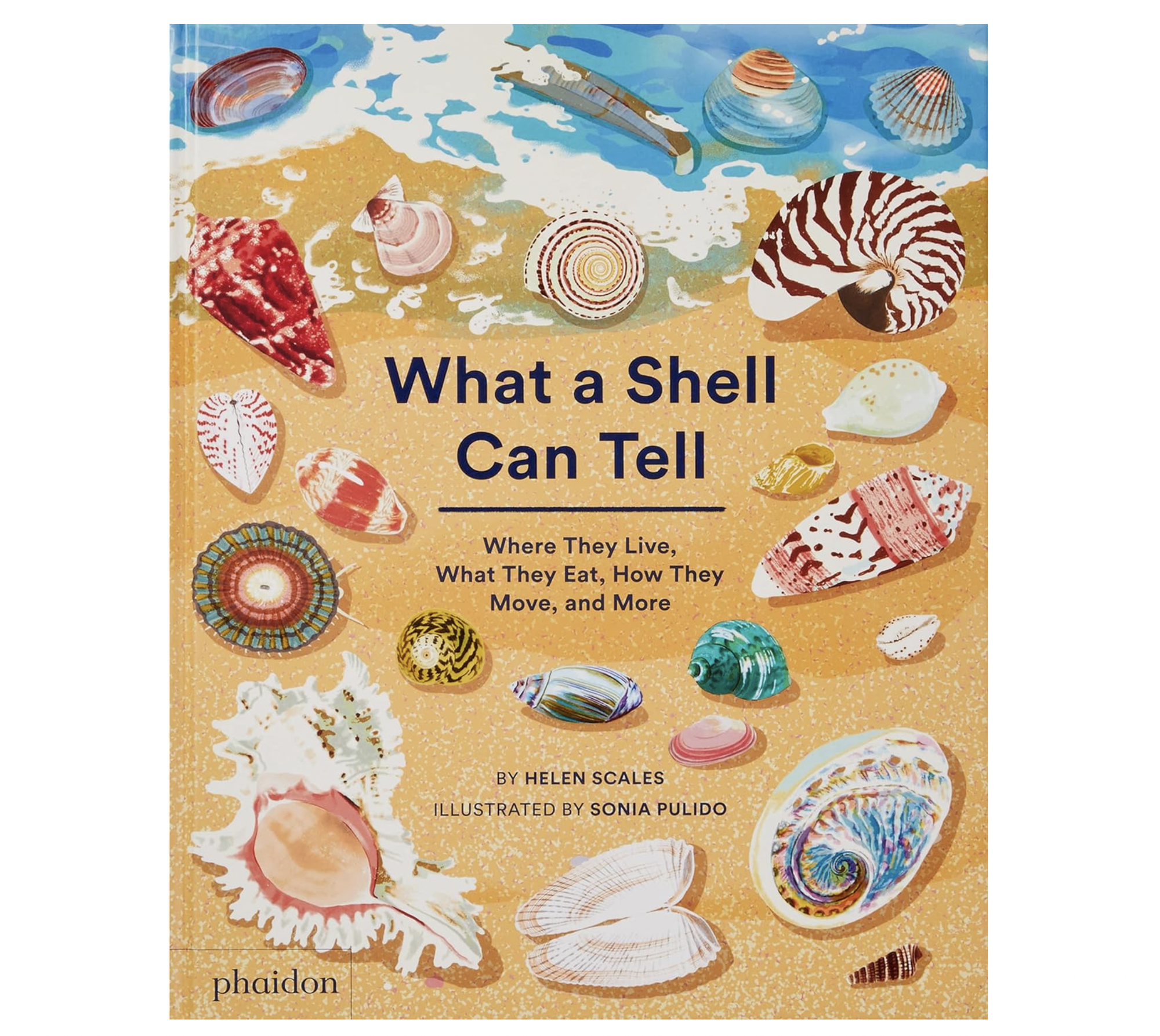 What a Shell Can Tell