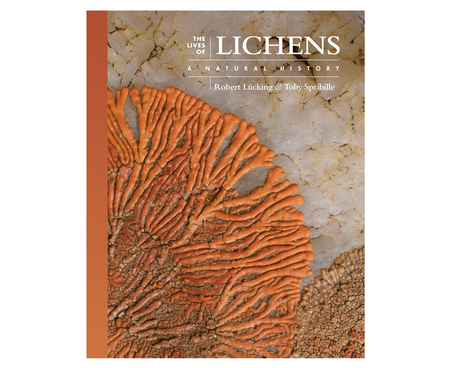 The Lives of Lichens