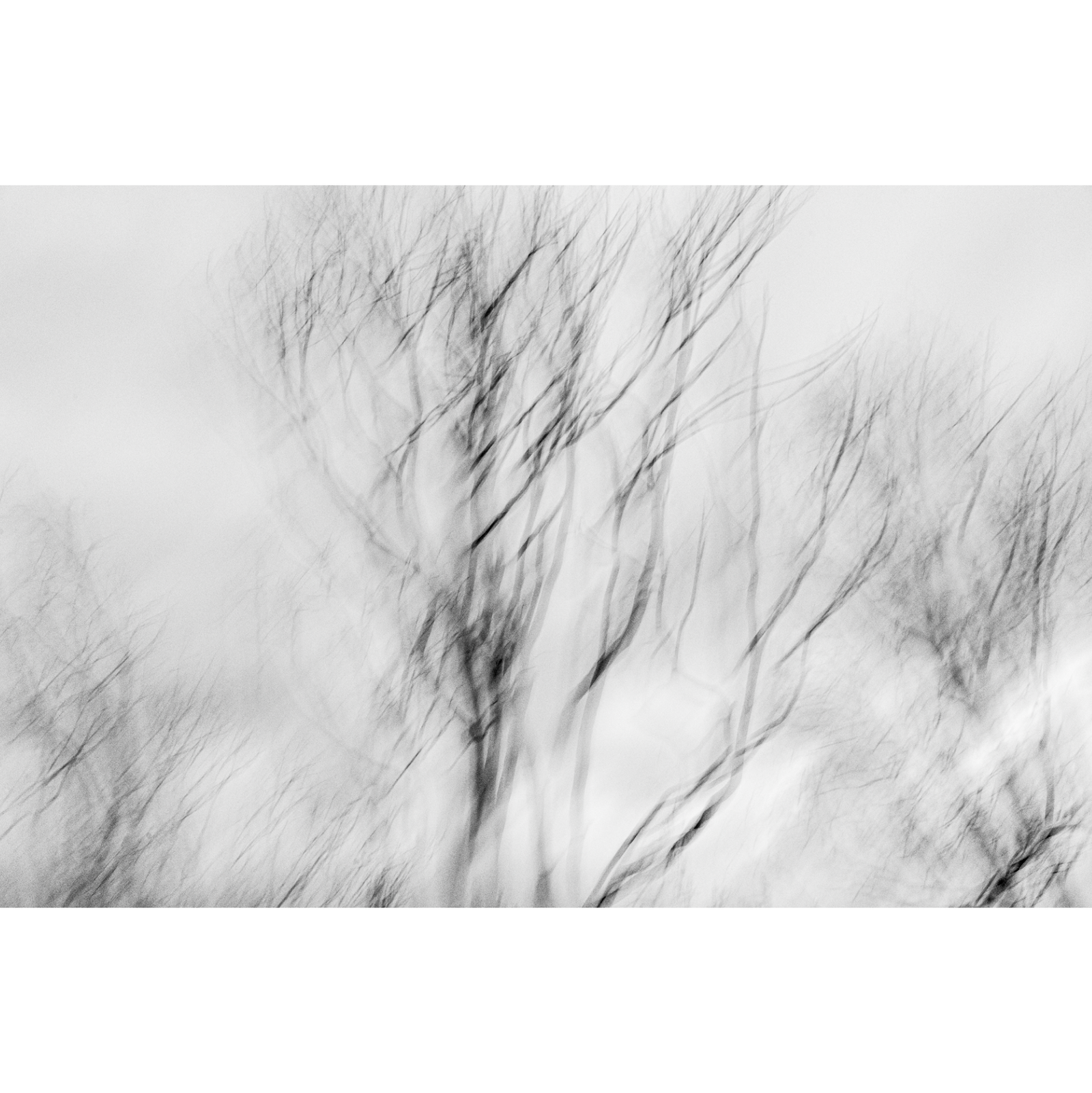 Nick Green - Etching