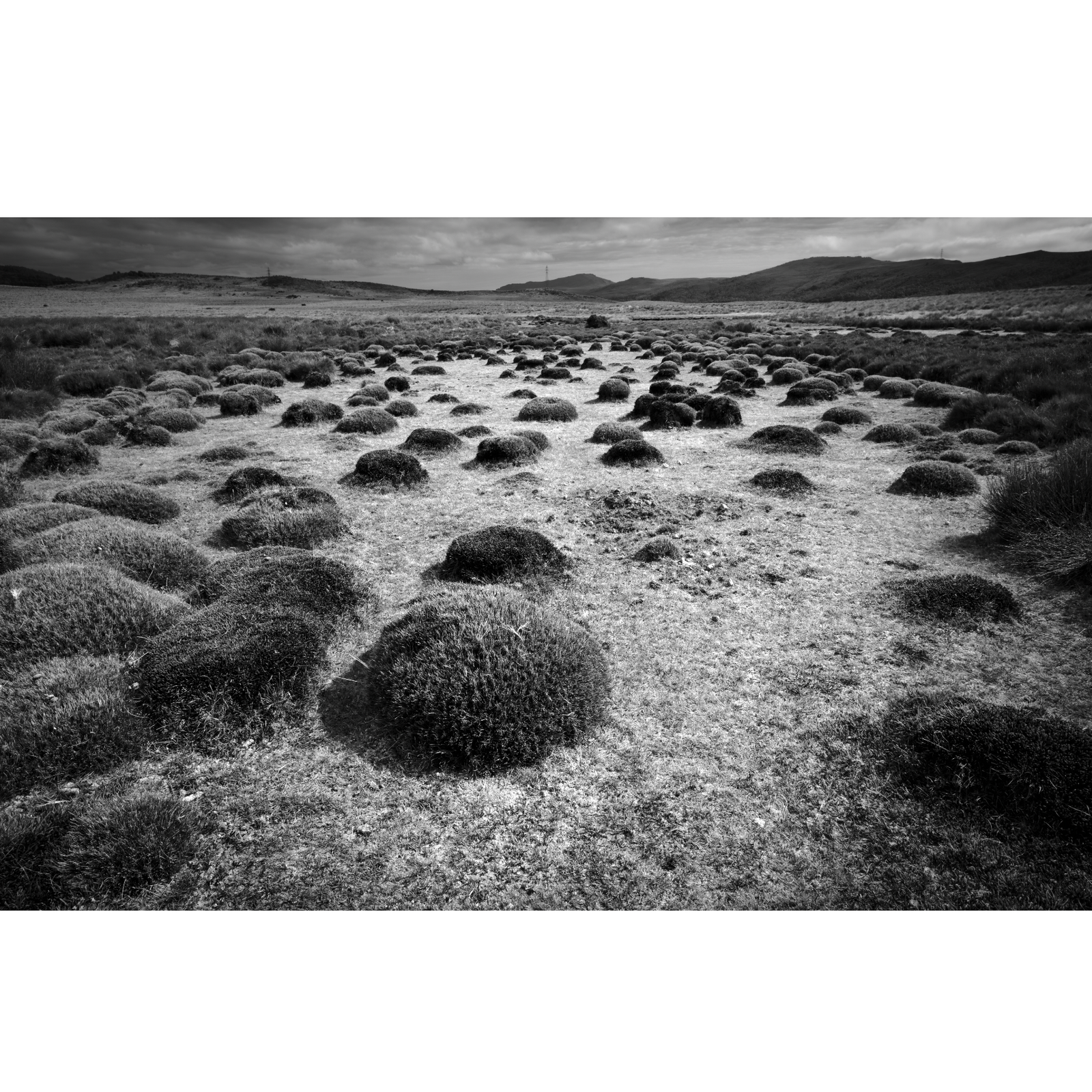 Kelly Slater - Encircled Land, Vale of Belvoir Reserve